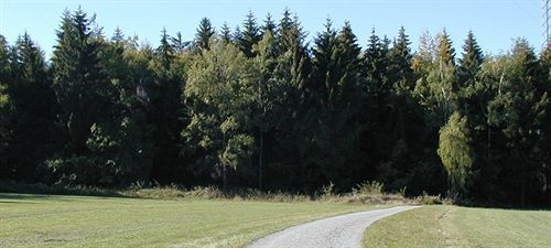 Hotel Am Bad-Wald Bad Liebenzell Luaran gambar